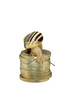 Snail on coin pile looking down