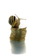 Snail on coin pile looking backward