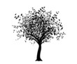 vecteur série - arbre noir isolé sur fond blanc