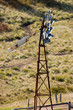 A derelict windmill in Australia's outback