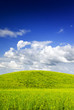 Summer landscape. Europe, Poland. Adobe RGB (1998).