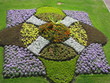rosace de fleurs rosace de fleurs