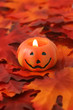 jack o' lantern on golden fall leaves great for halloween