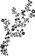 black flowers