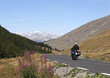 motard