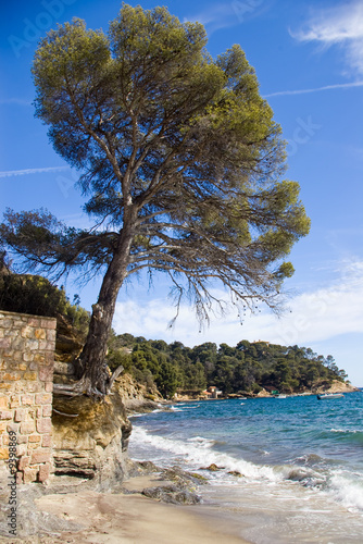 la plage du canadel sur la côte d'azur