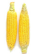 Corns