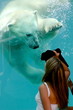 ours polaire en plein jeu dans un aquarium au québec