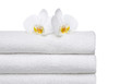 2 Orchids on white Towels