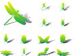 Set buttons. Insects