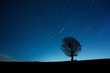 Blue Silence
