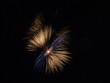 Supernova firework Supernova firework