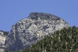 Blue Sky Mount Charleston