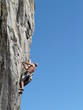 Bionica 7a+ (Croveo)1