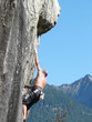 Bionica 7a+ (Croveo)2