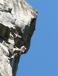 Coniglietto Giallo 7b (Croveo)1