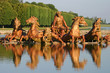 Chateau versailles