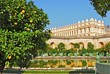 orangerie de Versailles orangerie de Versailles