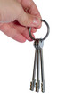 bunch of keys on the ring in the arm isolated on white