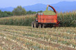 agricoltura