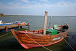 Stettiner Haff-Fischerboot in Kamminke