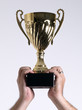 Trophy held above head with 2 hands Trophy held above head with 2 hands