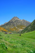 Vall d'Incles landscape with Alt de Juclar peak in background.