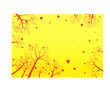 Autumn Trees Against Sky