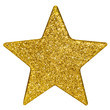 goldener weihnachtsstern (incl. clipping-path / freistell-pfad)
