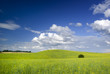 Summer landscape. Europe, Poland. .Adobe RGB (1998).