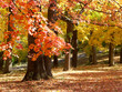 Taste of Autumn Taste of Autumn
