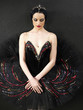Portrait of a beautiful ballerina