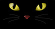 Cats Eye