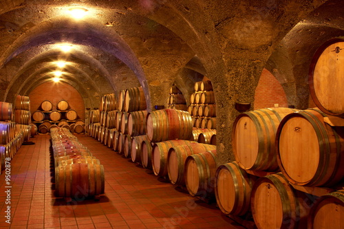 Weinkeller,Rotwein im Barrique Faß ausgebaut,Toskana,Italien