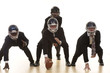 Foto: Teamplayer Teamplayer