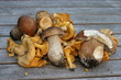 cèpes et girolles ramassées dans le Médoc (33) cèpes et girolles ramassées dans le Médoc (33)