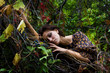 Portrait of beautiful girl in the autumn garden
