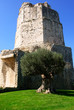 tour de magne, nimes tour de magne, nimes