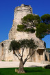 nimes, parc et tour magne nimes, parc et tour magne