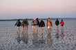 randonnée dans la baie randonnée dans la baie