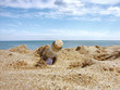 Message in the bottle washed ashore