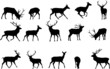 Vektor: red deer silhouette,vector collection red deer silhouette,vector collection