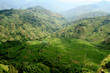 riziere de montagne (Yunnan - Chine) riziere de montagne (Yunnan - Chine)