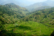 riziere de montagne (Yunnan - Chine) riziere de montagne (Yunnan - Chine)