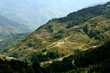 riziere de montagne (Yunnan - Chine) riziere de montagne (Yunnan - Chine)