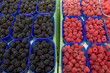 Brombeeren und Himbeeren in Tassen auf einem Marktstand