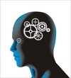 brain