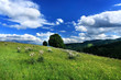 Foto: Forche Canapine Forche Canapine