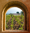 arched window on the vineyard with roof arched window on the vineyard with roof