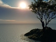 canvas print picture Sunset